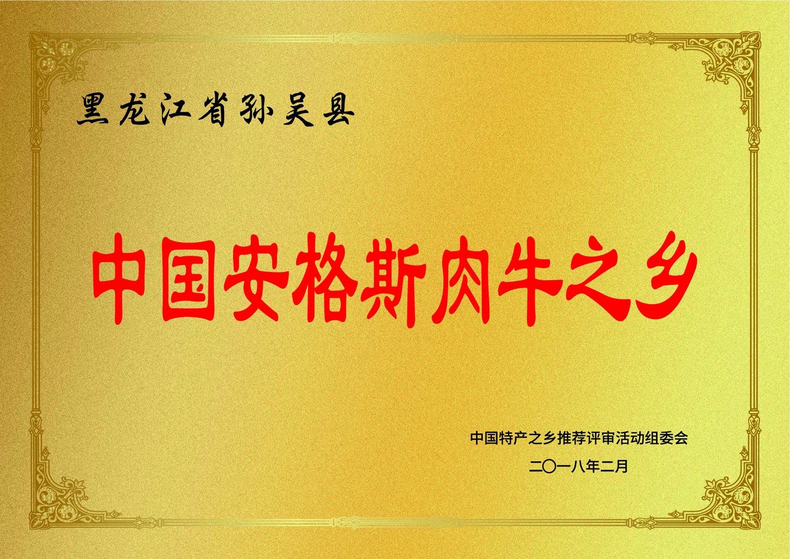 中国安格斯肉牛之乡—孙吴