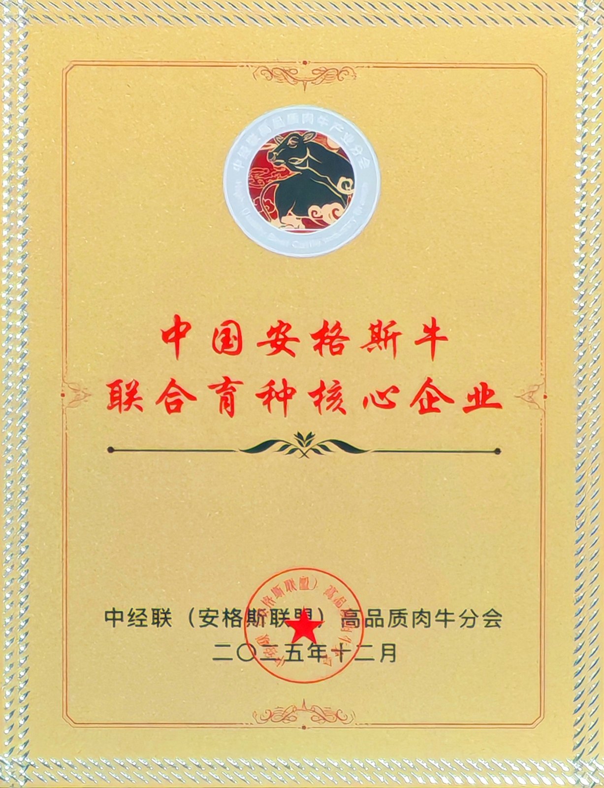 中国安格斯牛联合育种核心企业